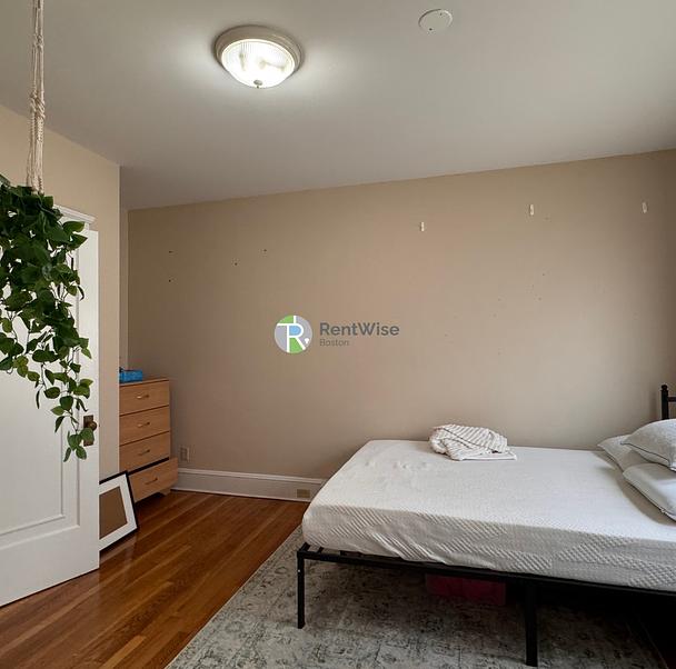 Photo of Beautiful apartment - close to Tufts!